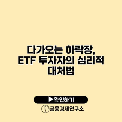 다가오는 하락장, ETF 투자자의 심리적 대처법