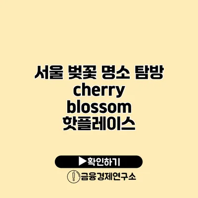 서울 벚꽃 명소 탐방 cherry blossom 핫플레이스