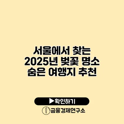 서울에서 찾는 2025년 벚꽃 명소 숨은 여행지 추천