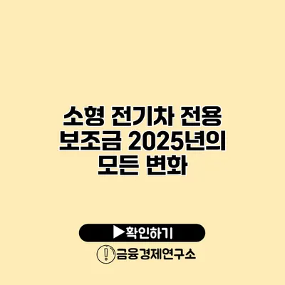 소형 전기차 전용 보조금 2025년의 모든 변화
