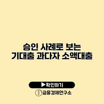 승인 사례로 보는 기대출 과다자 소액대출