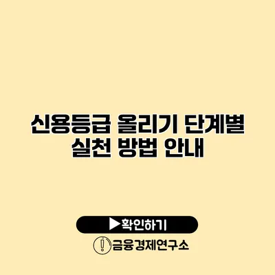 신용등급 올리기 단계별 실천 방법 안내