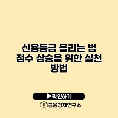 신용등급 올리는 법 점수 상승을 위한 실천 방법