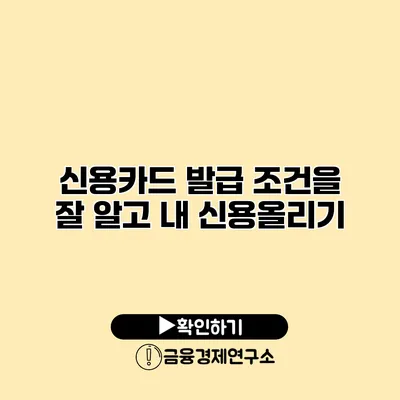 신용카드 발급 조건을 잘 알고 내 신용올리기