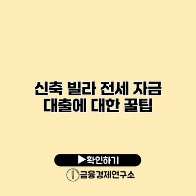 신축 빌라 전세 자금 대출에 대한 꿀팁