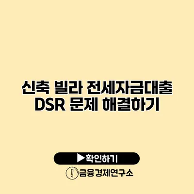 신축 빌라 전세자금대출 DSR 문제 해결하기