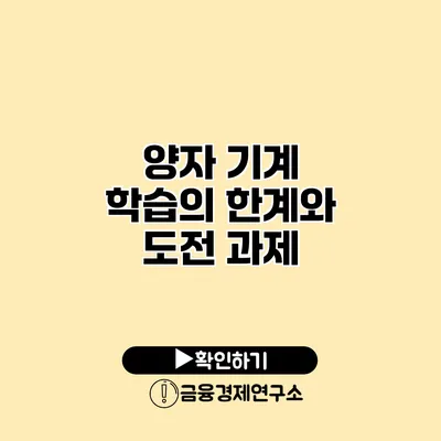 양자 기계 학습의 한계와 도전 과제