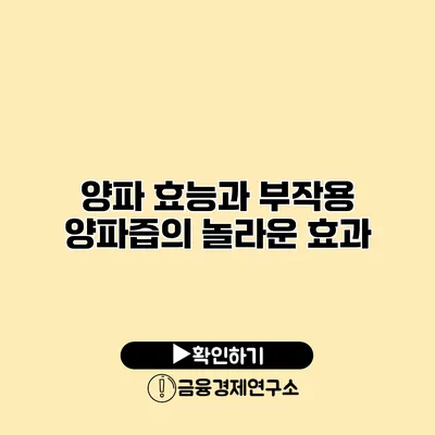 양파 효능과 부작용 양파즙의 놀라운 효과