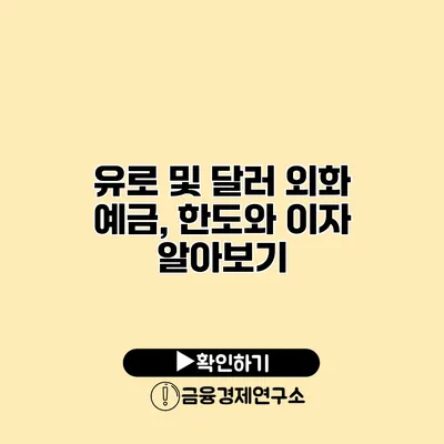 유로 및 달러 외화 예금, 한도와 이자 알아보기