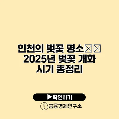 인천의 벚꽃 명소巡り 2025년 벚꽃 개화 시기 총정리