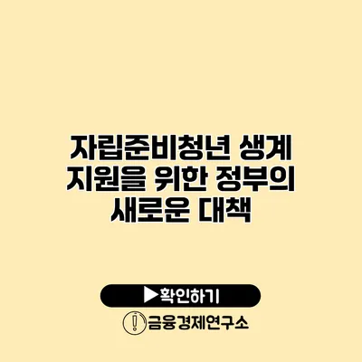 자립준비청년 생계 지원을 위한 정부의 새로운 대책