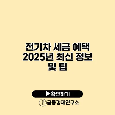 전기차 세금 혜택 2025년 최신 정보 및 팁