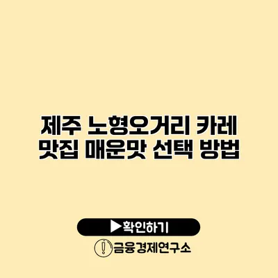 제주 노형오거리 카레 맛집 매운맛 선택 방법