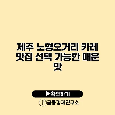 제주 노형오거리 카레 맛집 선택 가능한 매운 맛