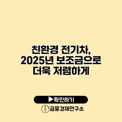 친환경 전기차, 2025년 보조금으로 더욱 저렴하게