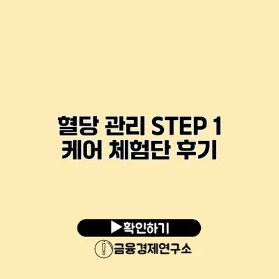 혈당 관리 STEP 1 케어 체험단 후기