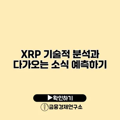 XRP 기술적 분석과 다가오는 소식 예측하기
