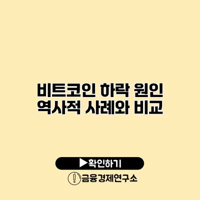 비트코인 하락 원인 역사적 사례와 비교