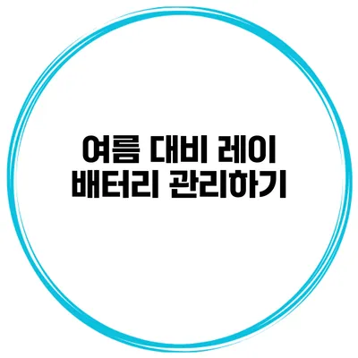 여름 대비 레이 배터리 관리하기