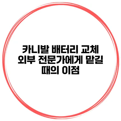 카니발 배터리 교체 외부 전문가에게 맡길 때의 이점